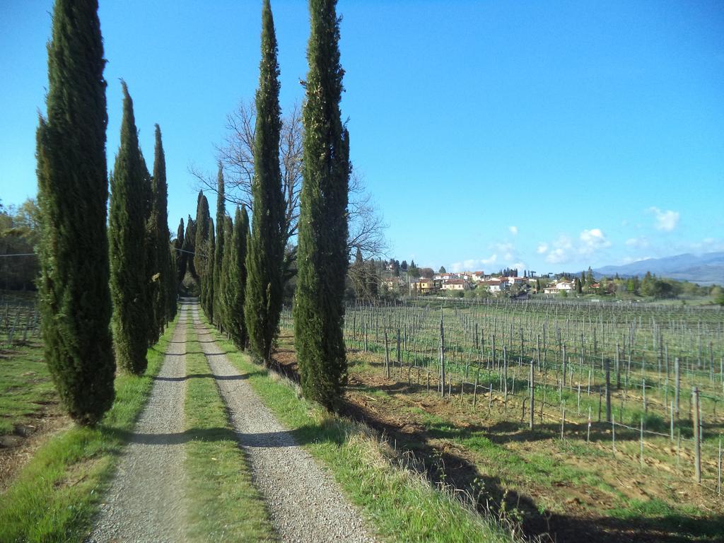 Agriturismo Albergotti أريتسو المظهر الخارجي الصورة