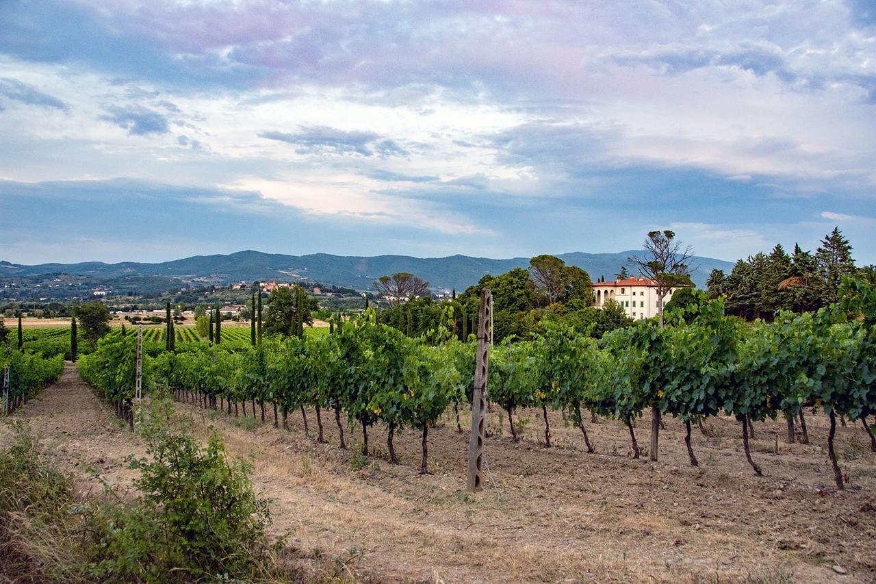 Agriturismo Albergotti أريتسو المظهر الخارجي الصورة